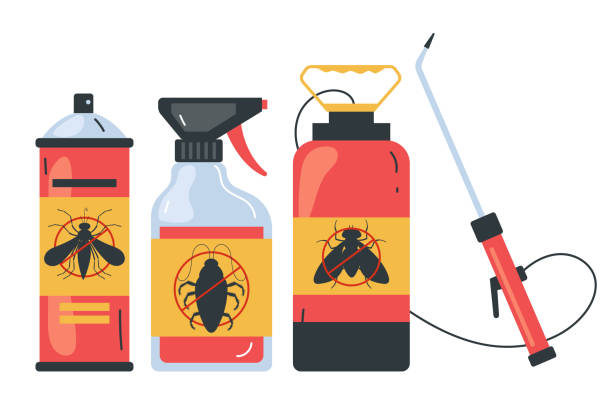 Best Spider Control Near Me  in Three Points, AZ