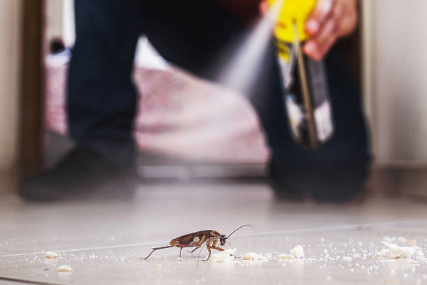 Best Best Pest Control Companies  in Three Points, AZ